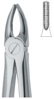 Incisors and Bicuspids 2 – EMERALD INSTRUMENTS, Extraction Forceps