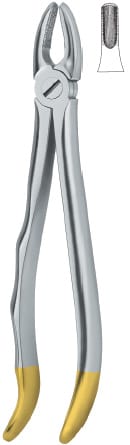 Incisors and cuspids 1 – EMERALD INSTRUMENTS, Extraction Forceps