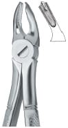 Molars 39A – EMERALD INSTRUMENTS, Extraction Forceps