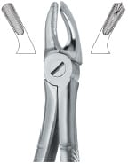 Molars , Left 39L – EMERALD INSTRUMENTS, Extraktionszangen