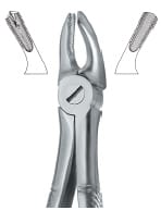 Molars , Right 39R – EMERALD INSTRUMENTS, Extraktionszangen