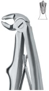 Molars 6 – EMERALD INSTRUMENTS, Extraction Forceps