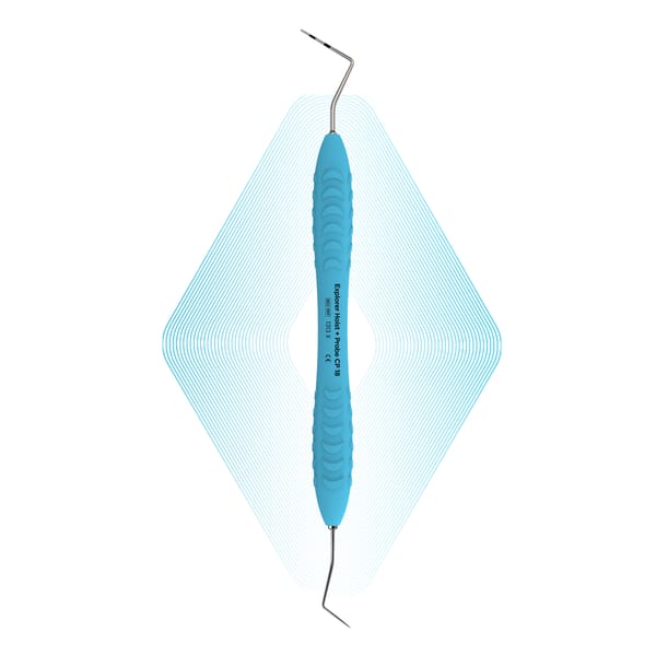 Explorer Holst + Probe CP-18 | ErgoDenta 10871