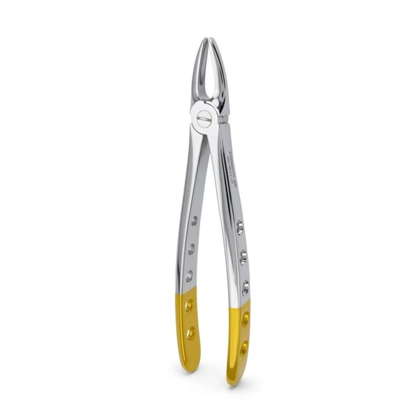 Upper Front | Diamond Extraction Forcep | ErgoDenta 5025-29