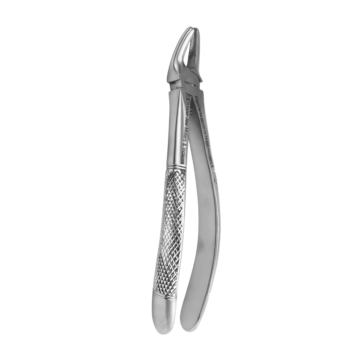 Fig. 7K Upper Jaw Molars and Incisors | Junior Extraction Forceps | ErgoDenta 5015-7K – ErgoDenta ApS, Pediatric Extraction Forceps