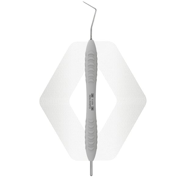 Explorer-Holst | ErgoDenta 11063