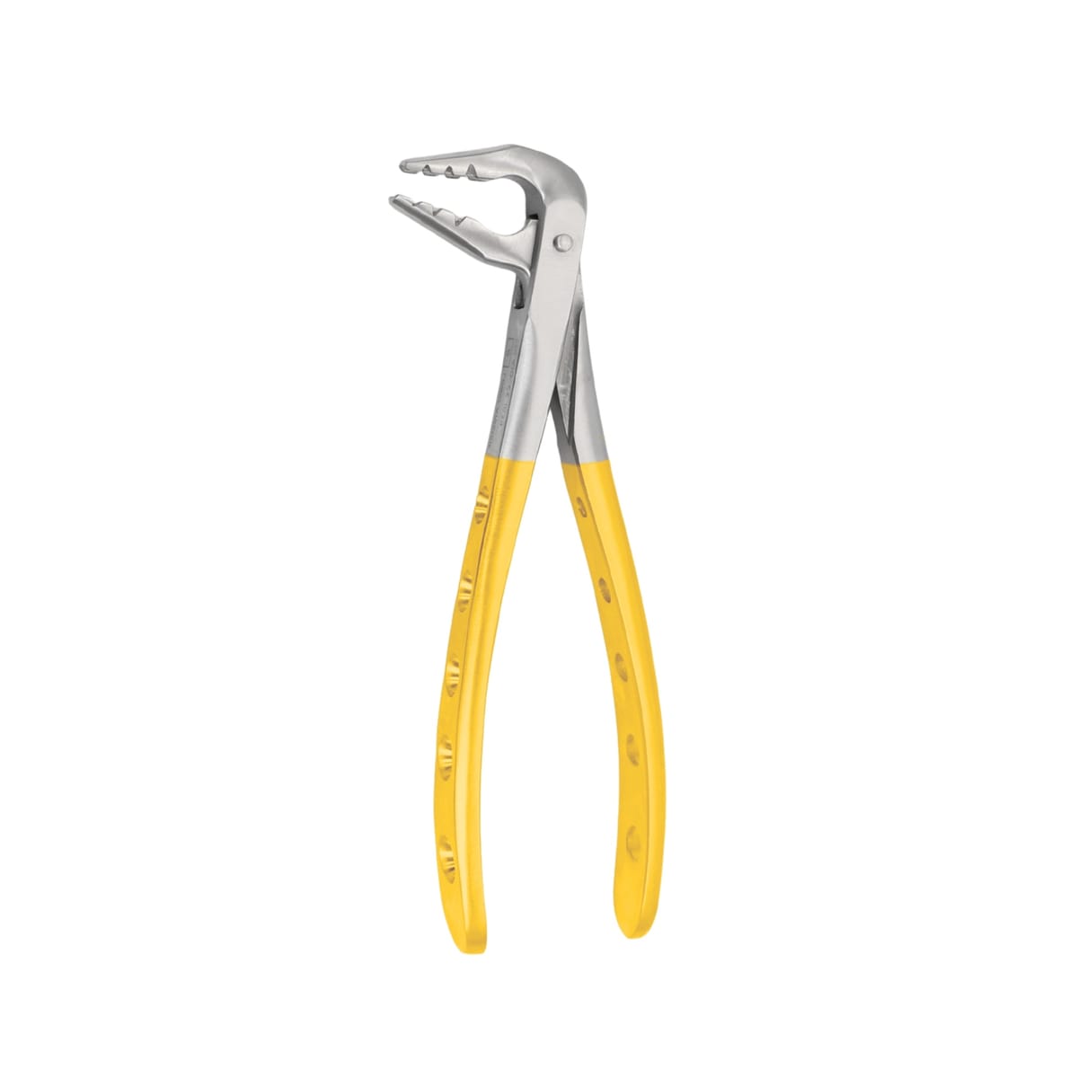Lower Anterior | Diamond Extraction Forcep GripMaster | ErgoDenta 5040-2074 – ErgoDenta ApS, Diamond-Coated Extraction Forceps