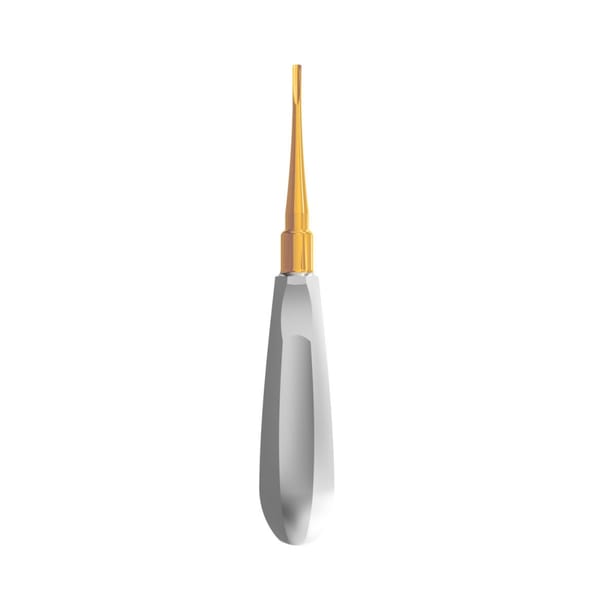 Luxating Elevator Gold, Straight, 3mm — Classic Handle | ErgoDenta 6002-2G
