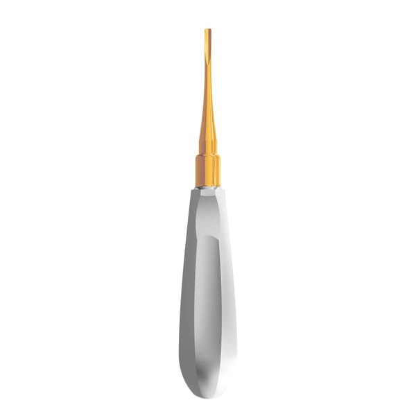 Luxating Elevator Gold, Curved, 3mm — Classic Handle | ErgoDenta 6002-6G