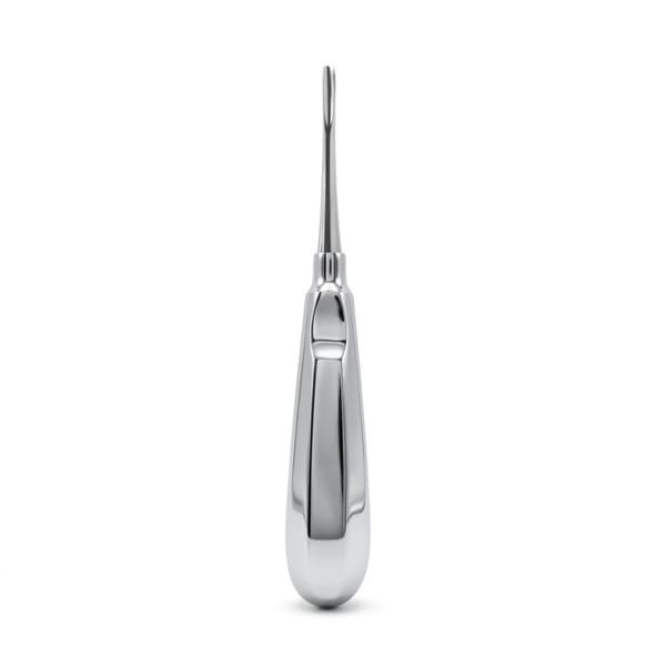Bein Root Elevator, Straight, Fig. 2 | ErgoDenta 6047-2