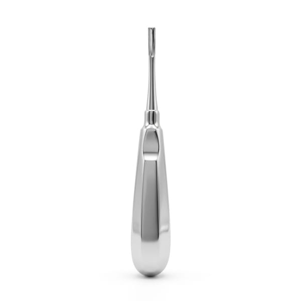 Bein Root Elevator, Straight, Fig. 3 | ErgoDenta 6047-3