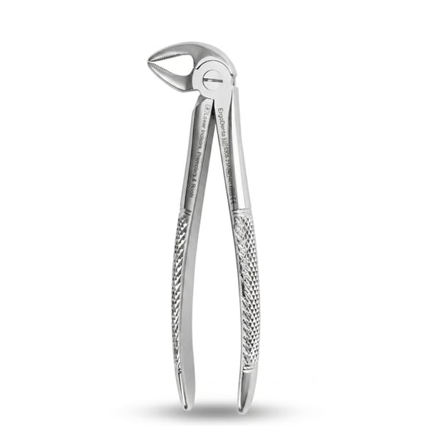 Lower Incisors, Premolars and Roots | Standard Extraction Forcep | ErgoDenta 5005-33A