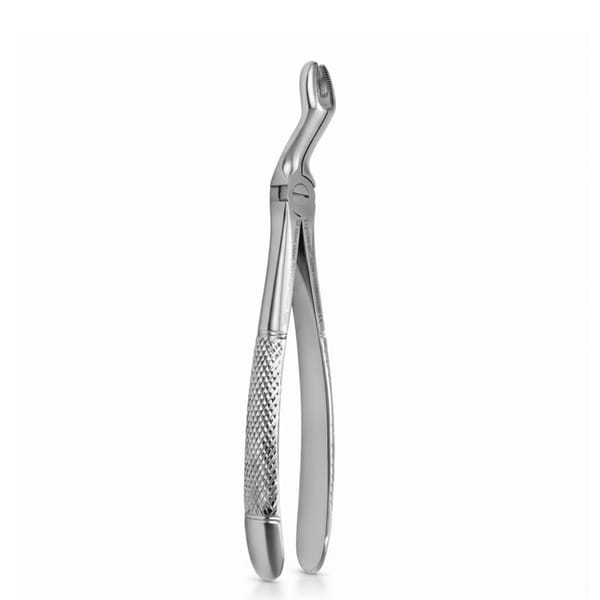 Upper Molars for Upper Wisdom Teeth | Standard Extraction Forcep | ErgoDenta 5005-67A