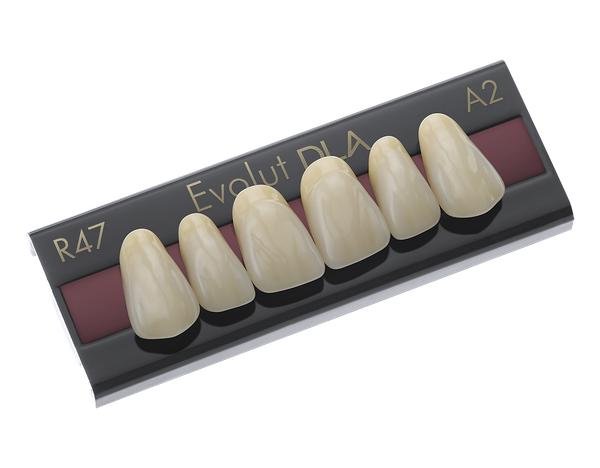 Evolut DLA - Dente Acrílico de 3 Camadas