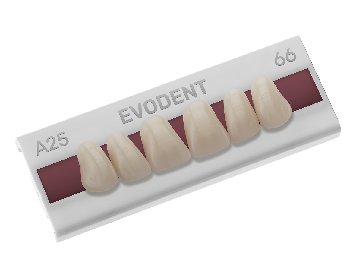 Evodent® – EVODEN PRODUTOS ODONTOLOGICOS LTDA, Gipszusätze, Stumpflacke und Gipslöser