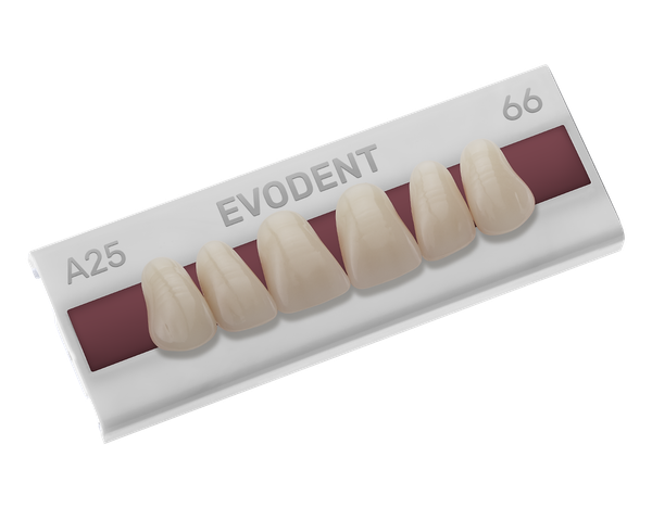Evodent®