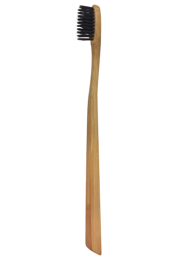 FORAMEN BAMBOO