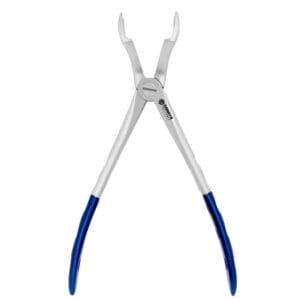 67 Upper Molars
