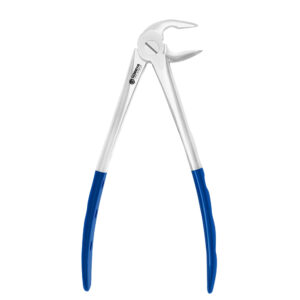 Beveled Ash Lower Anteriors – GORAYA INSTRUMED, Extraction Forceps