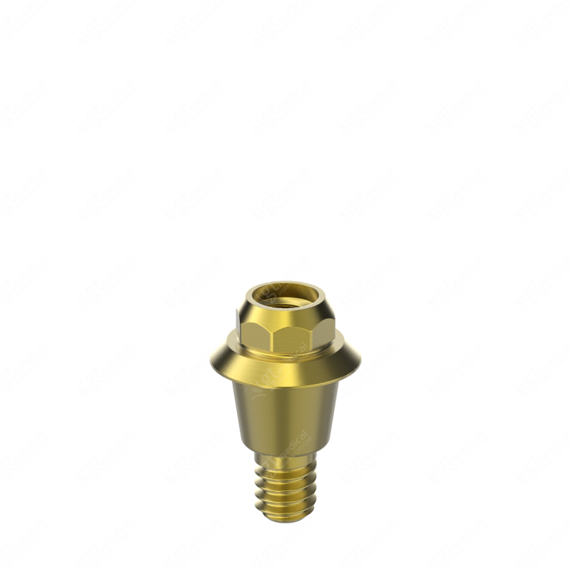 Octa® Abutment, G1.0mm compatible with Best Fit® i-Clean (001 OCT) G17045 – GT-Medical S.L., Abutments