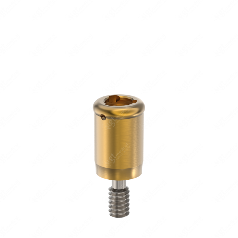 Loc. Abutment + Processing Package, G4.0mm compatible with Best Fit® e-Clean Mini (055 HXE) G21033 – GT-Medical S.L., Abutments