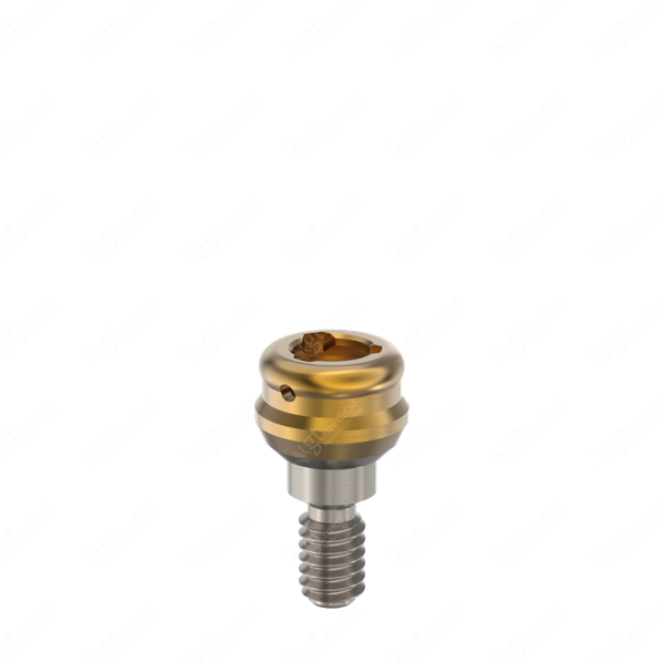 Loc. Abutment + Processing Package, G1.0mm compatible with Best Fit® Internal Hex 002 HXI G21168