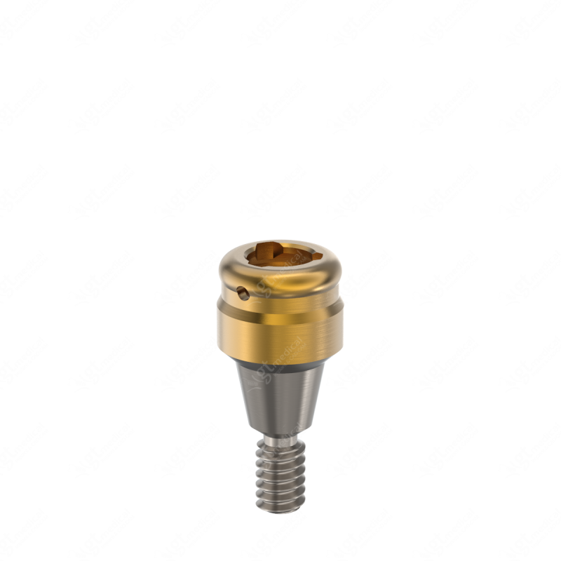 Loc. Abutment + Processing Package, G2.0mm compatible with Dentsply® Astra® 3.5/4.0 Aqua G21193 – GT-Medical S.L., Abutments