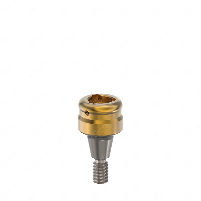 Loc. Abutment + Processing Package, G2.0mm compatible with Best Fit® s-Clean Narrow G20626 – GT-Medical S.L., Abutments