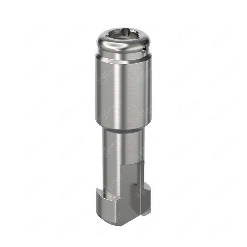 Analog for Loc. Abutment compatible with BioHorizons® Internal P3.0 E000092 – GT-Medical S.L., Abutments