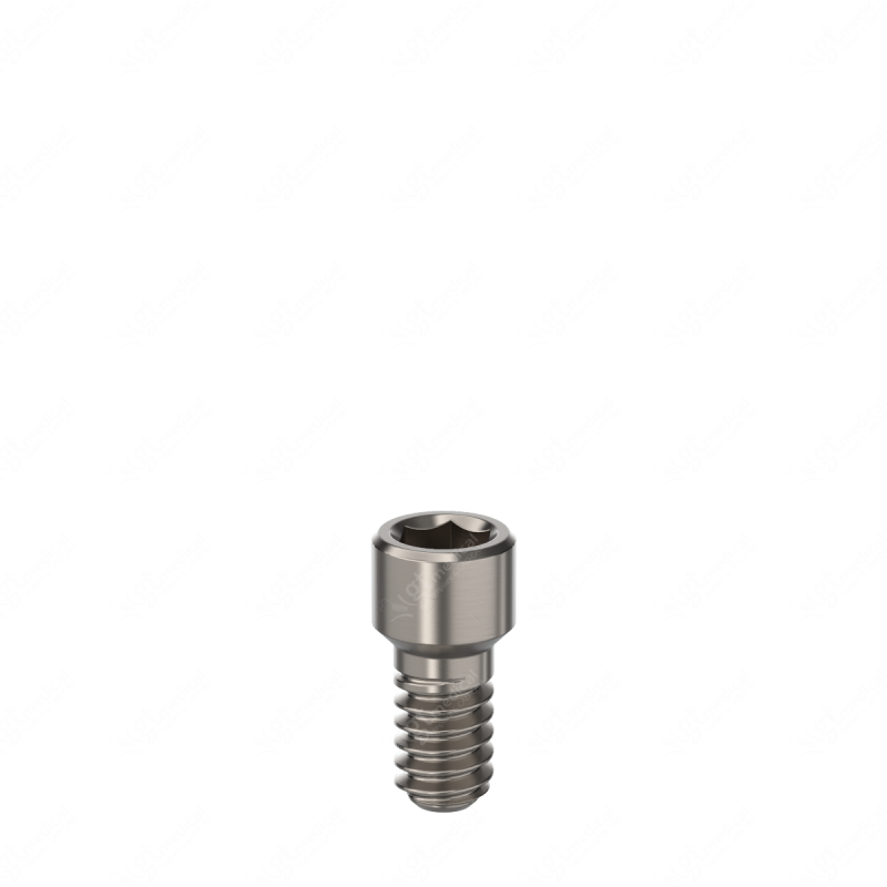 Universal Screw, Hex 1.20, 4.0mm for Multi-Unit RP compatible with Bego Semados® Internal Ø3.25 /Ø3.75 G100281 – GT-Medical S.L., Other