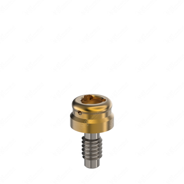 Loc. Abutment + Processing Package, G1.0mm compatible with BioHorizons® External Ø4.0 G20602