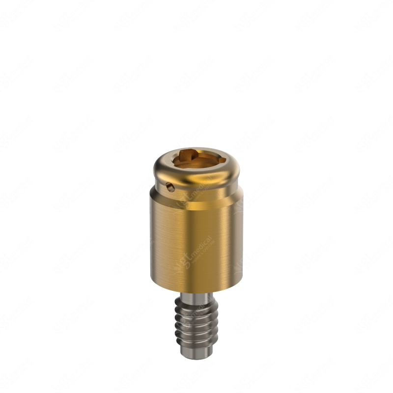 Loc. Abutment + Processing Package, G4.0mm compatible with BioHorizons® External Ø4.0 G20605 – GT-Medical S.L., Abutments