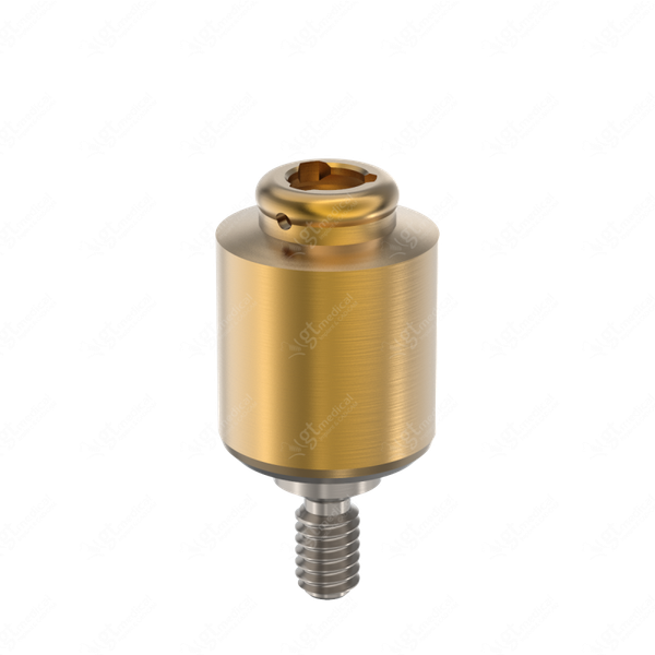 Loc. Abutment + Processing Package, G6.0mm compatible with BioHorizons® Internal P5.7 G20619