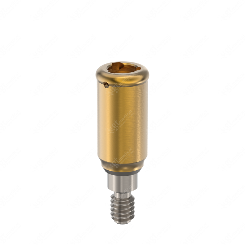 Loc. Abutment + Processing Package, G6.0mm compatible with BioHorizons® Internal P3.0 G20642 – GT-Medical S.L., Abutments