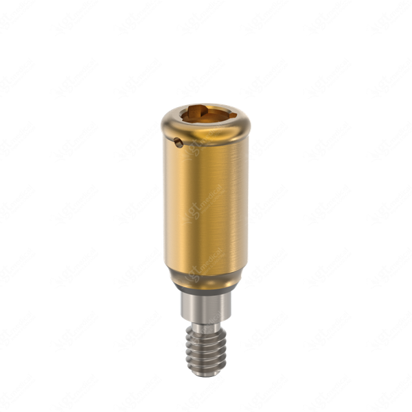 Loc. Abutment + Processing Package, G6.0mm compatible with BioHorizons® Internal P3.0 G20642