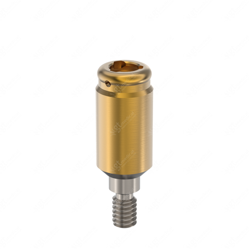 Loc. Abutment + Processing Package, G6.0mm compatible with Bego Semados® Internal Ø4.1 G20702 – GT-Medical S.L., Abutments