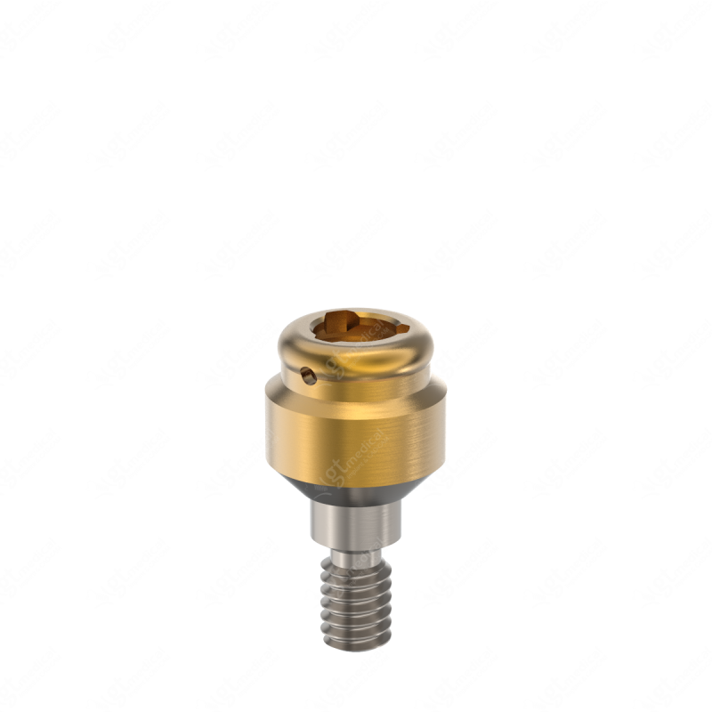Loc. Abutment + Processing Package, G2.0mm compatible with Bego Semados® Internal Ø4.5 G20704 – GT-Medical S.L., Abutments