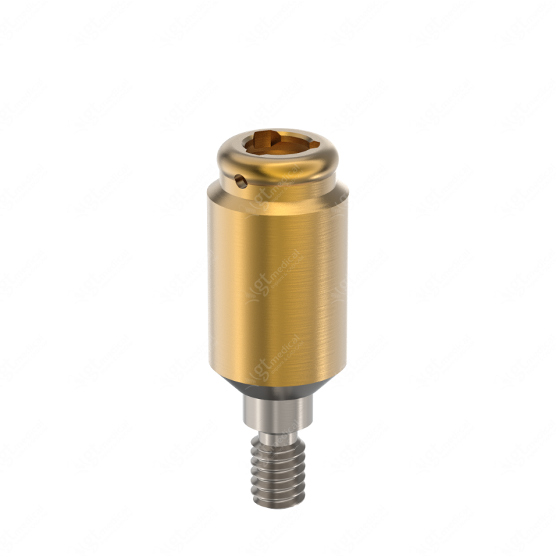 Loc. Abutment + Processing Package, G6.0mm compatible with Bego Semados® Internal Ø4.5 G20708 – GT-Medical S.L., Abutments