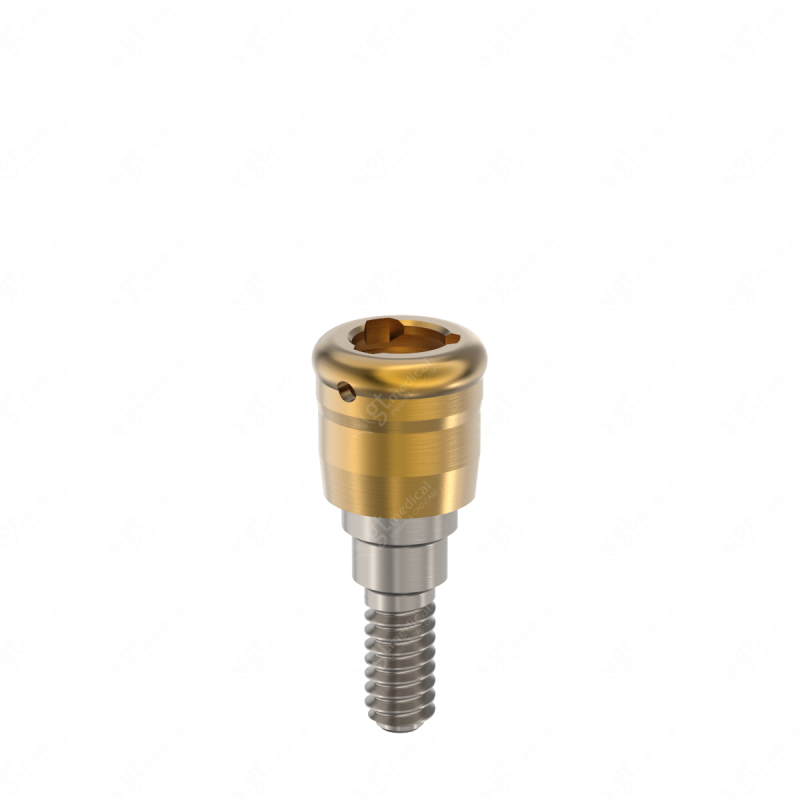 Loc. Abutment + Processing Package, G2.0mm compatible with Dentsply® Friadent® Xive® Ø3.4 G21253 – GT-Medical S.L., Abutments
