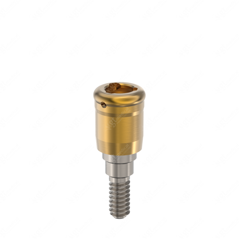 Loc. Abutment + Processing Package, G3.0mm compatible with Dentsply® Friadent® Xive® Ø3.4 G21254 – GT-Medical S.L., Abutments