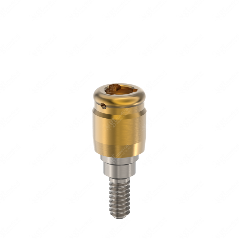Loc. Abutment + Processing Package, G3.0mm compatible with Dentsply® Friadent® Xive® Ø3.8 G21260 – GT-Medical S.L., Abutments