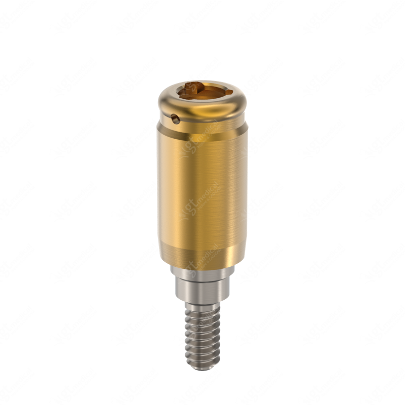 Loc. Abutment + Processing Package, G6.0mm compatible with Dentsply® Friadent® Xive® Ø3.8 G21263 – GT-Medical S.L., Abutments