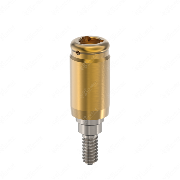Loc. Abutment + Processing Package, G6.0mm compatible with Dentsply® Friadent® Xive® Ø3.8 G21263