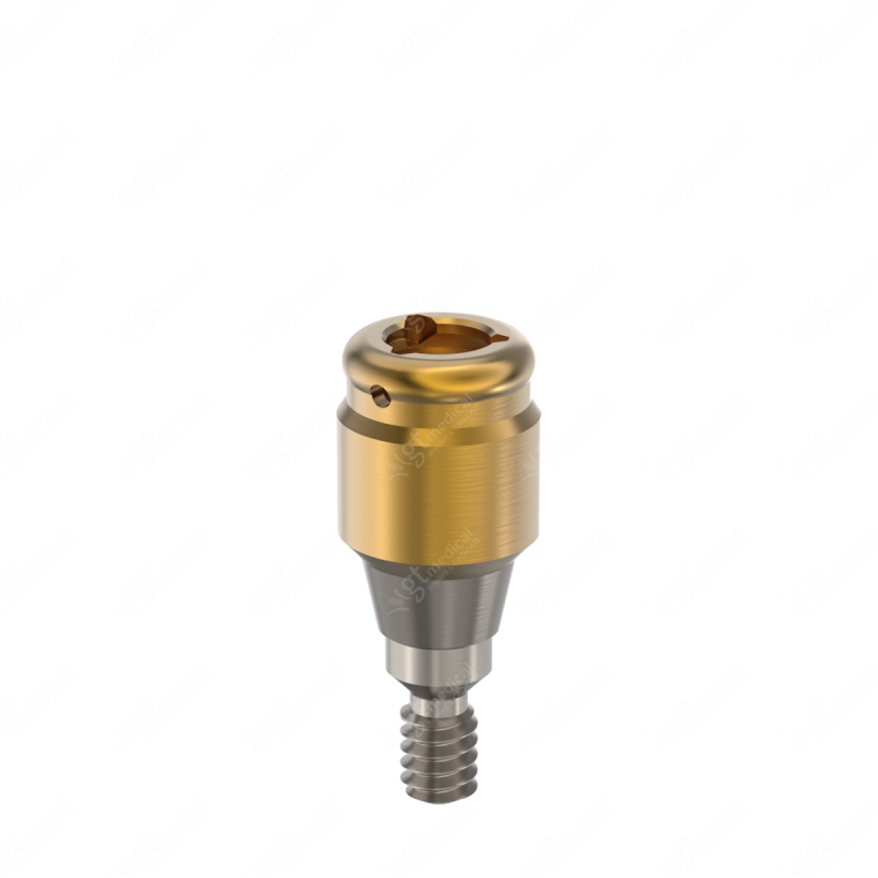 Loc. Abutment + Processing Package, G3.0mm compatible with Nobel Biocare® Conical Connection NP G21302 – GT-Medical S.L., Abutments