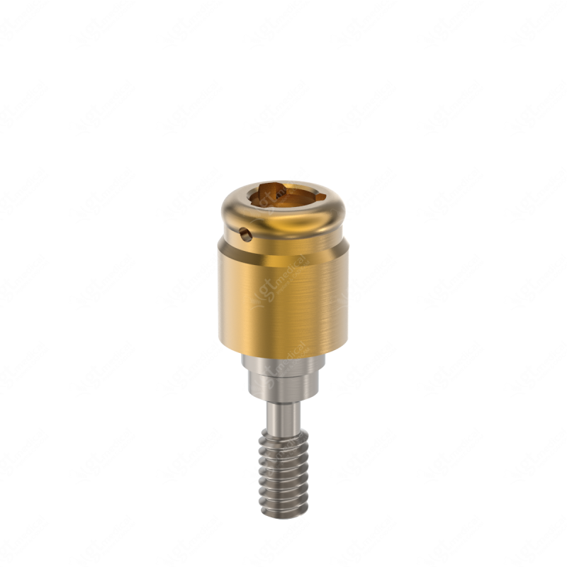 Loc. Abutment + Processing Package, G3.0mm compatible with Biomet 3i® Certain® P4.1 G21338 – GT-Medical S.L., Abutments