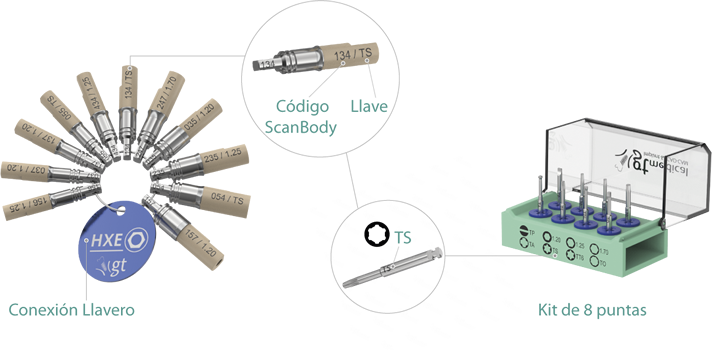 Llaveros explorador implantes GTM
