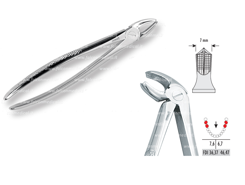Davier d'Extraction Molaire Inférieure Modèle 22