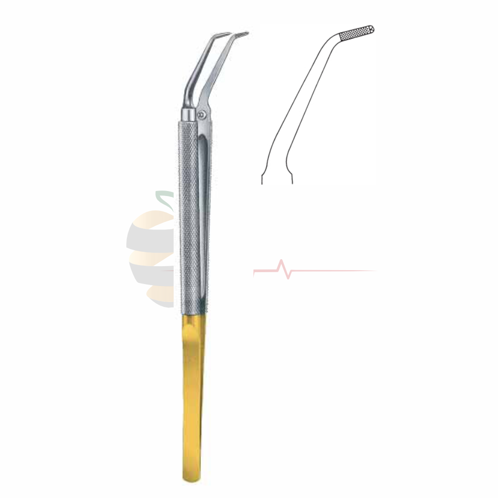 Jaboma Forceps (18cm) - Gold Plated End – Hospimed Mfg, Pinzetten
