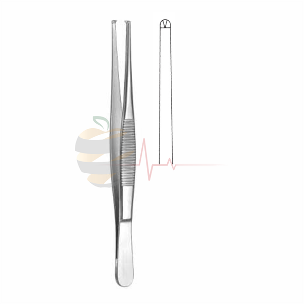 Dissecting Forceps (16cm, Standard Pattern)