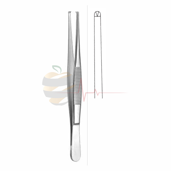 Dissecting Forceps (18cm, Standard Pattern)
